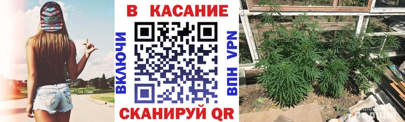 Где купить наркоту Электрогорск Марихуана  Alpha PVP  МДМА  Псилоцибиновые грибы  COCAIN  Гашиш 