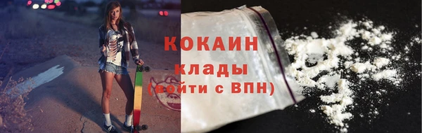 сатива Волоколамск
