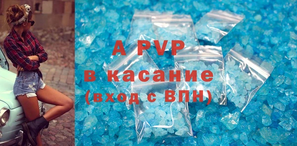 сатива Волоколамск