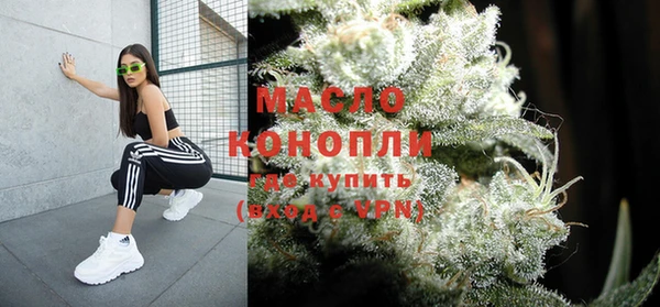 сатива Волоколамск