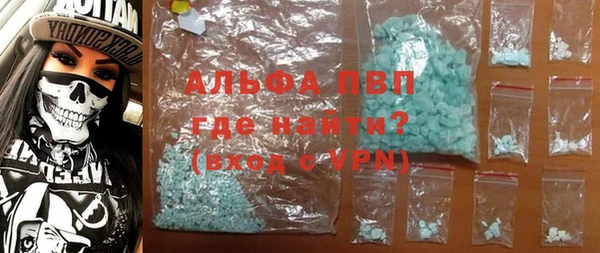 сатива Волоколамск