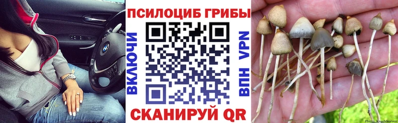 где купить   блэк спрут ONION  Псилоцибиновые грибы Psilocybine cubensis  Электрогорск 